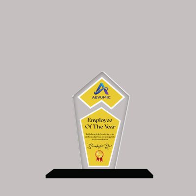 Employee Recognition Personalized Acrylic Award Trophy Custom with Name | Achievement Award for Employee, Corporate Recognition Thankyou Gift for Employee